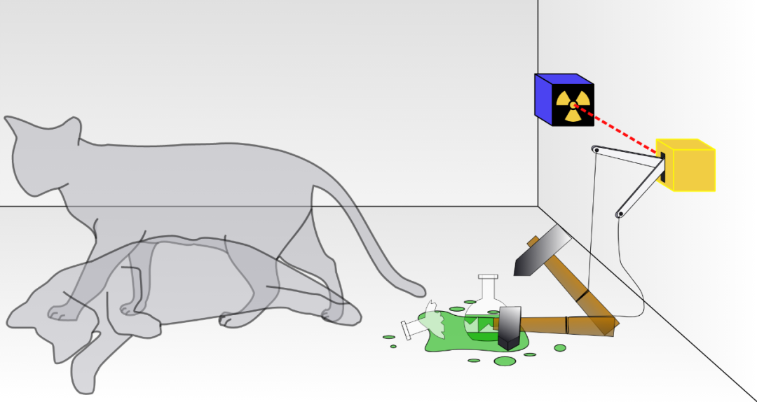 量子物理学的四个常见误解：薛定谔的猫、无人理解量子力学……