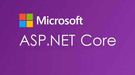 如何使用ASP.Net Core中的条件中间件？