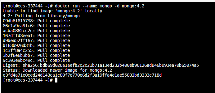 Docker基础：Docker 安装Mongodb你会了吗？